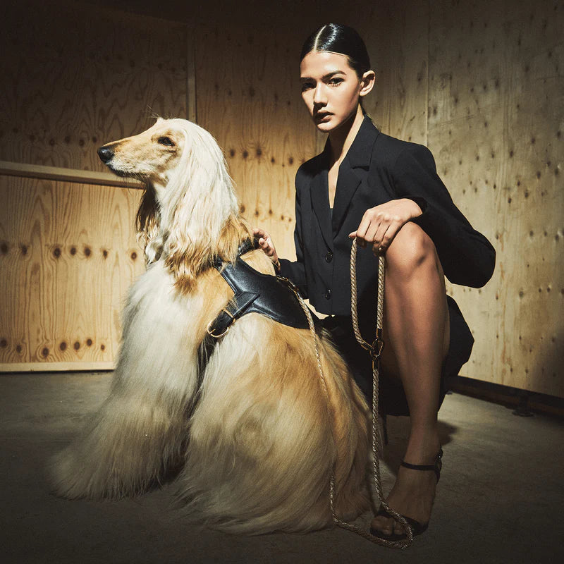 Rava Leash