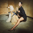 Carica l'immagine nel visualizzatore della galleria, Dog Harness | Gold