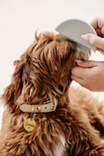 Carica l'immagine nel visualizzatore della galleria, All-in-One Grooming Kit