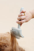 Carica l'immagine nel visualizzatore della galleria, All-in-One Grooming Kit