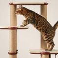 Carica l'immagine nel visualizzatore della galleria, Cat Scratch Post