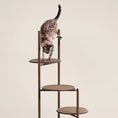 Carica l'immagine nel visualizzatore della galleria, Design Cat Tower