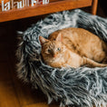 Carica l'immagine nel visualizzatore della galleria, Floofy Cat Bed