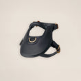 Carica l'immagine nel visualizzatore della galleria, Dog Harness | Gold