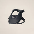 Carica l'immagine nel visualizzatore della galleria, Dog Harness | Nickel
