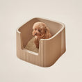 Carica l'immagine nel visualizzatore della galleria, Litter Box Scoop Set
