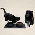 Gallery viewerに画像を読み込む, (Black)