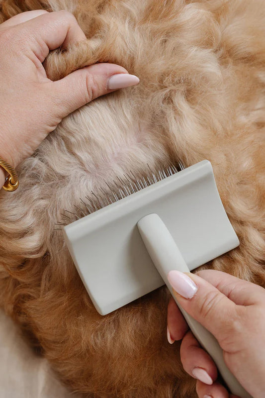 All-in-One Grooming Kit