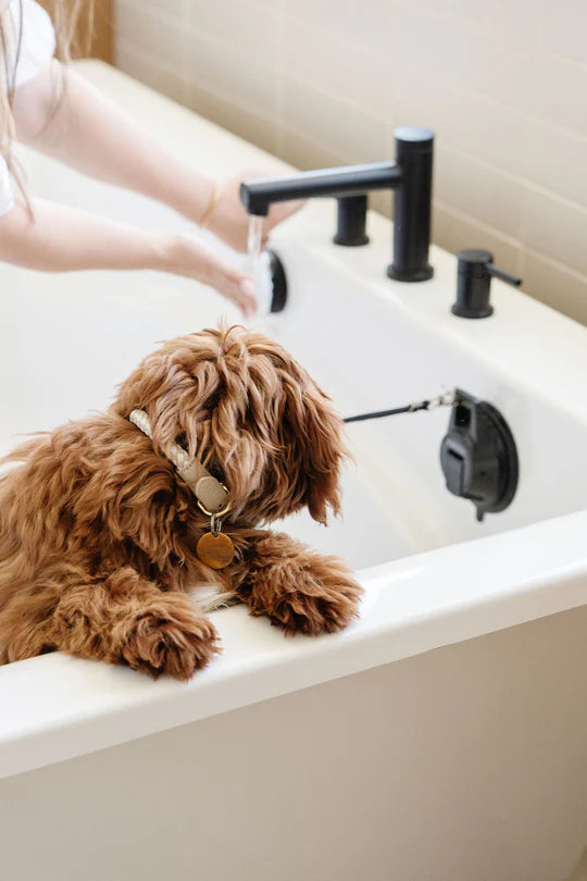 All-in-One Grooming Kit