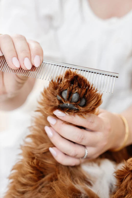 All-in-One Grooming Kit