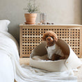 Load image into Gallery viewer, Cozy Small Pet Bed
