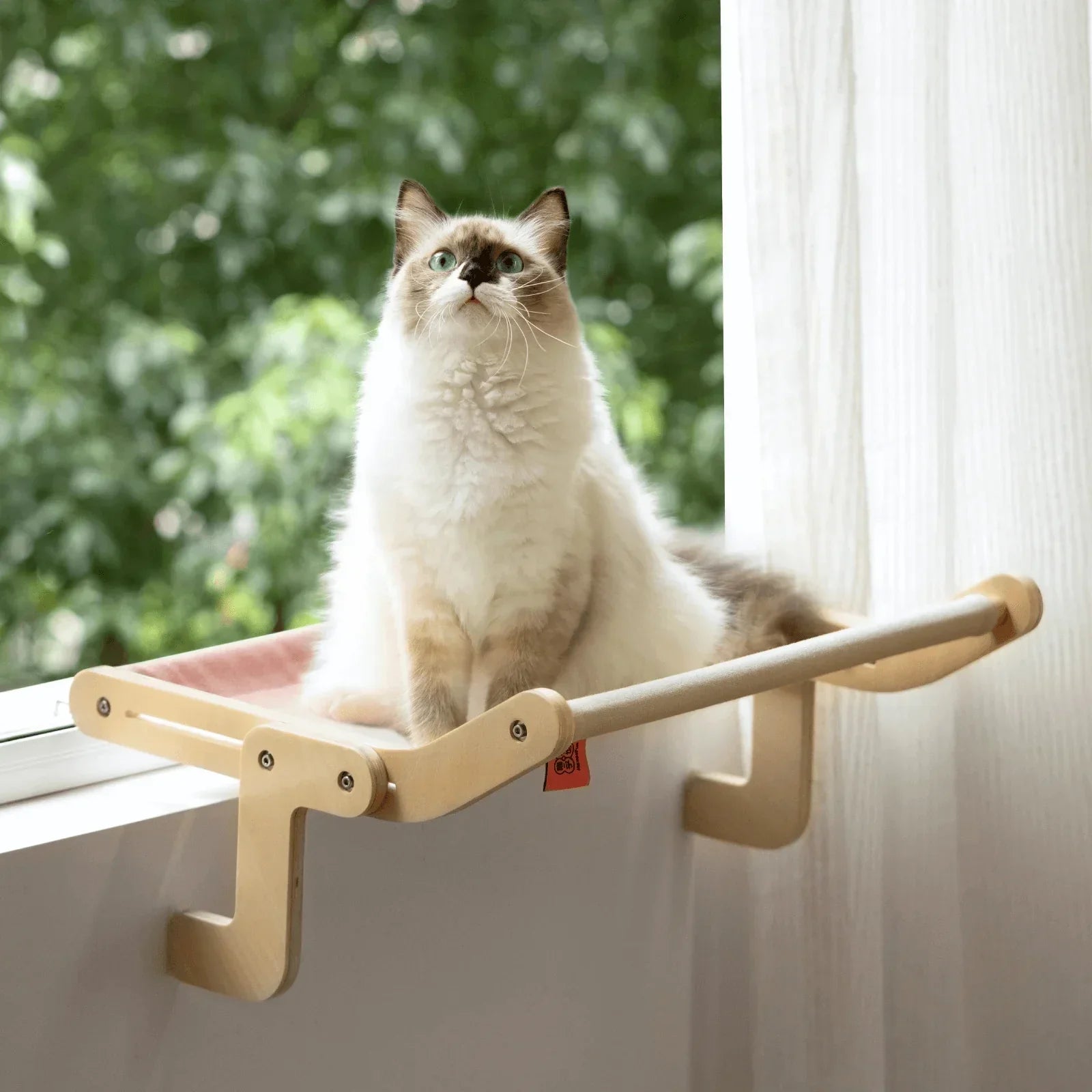 Cat Window Hammock