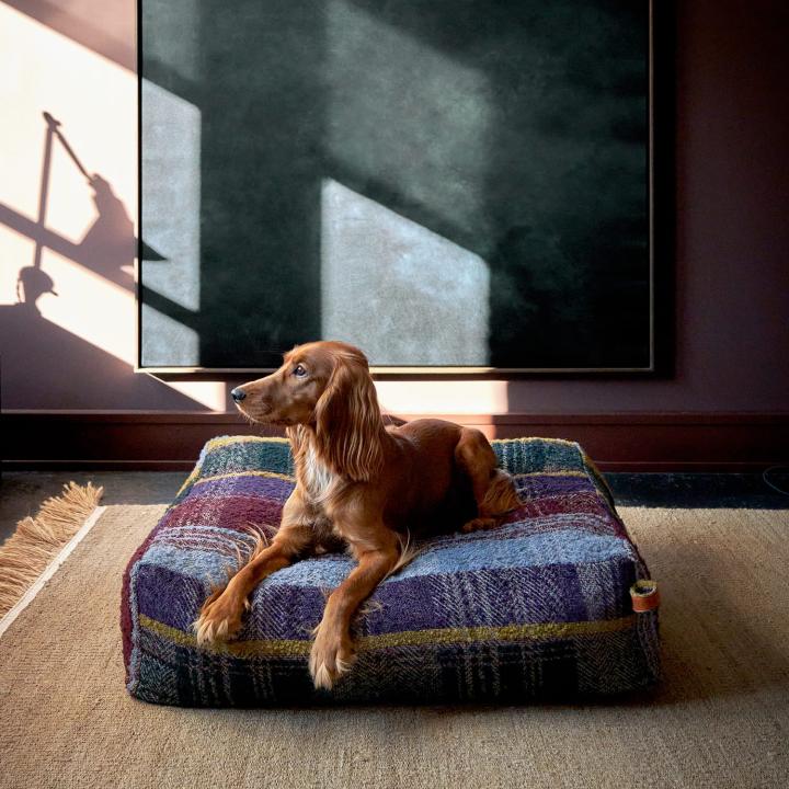 Shop Beds