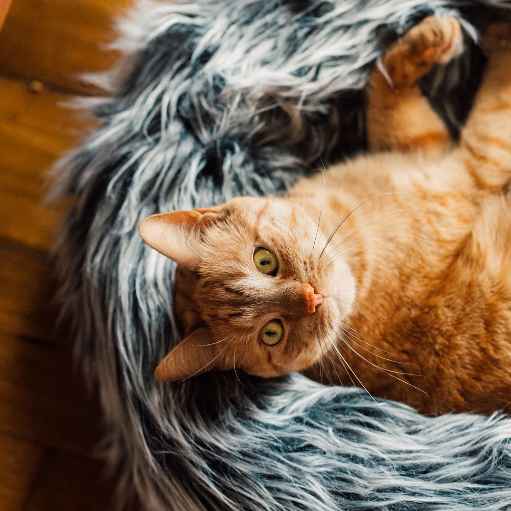 Floofy Cat Bed