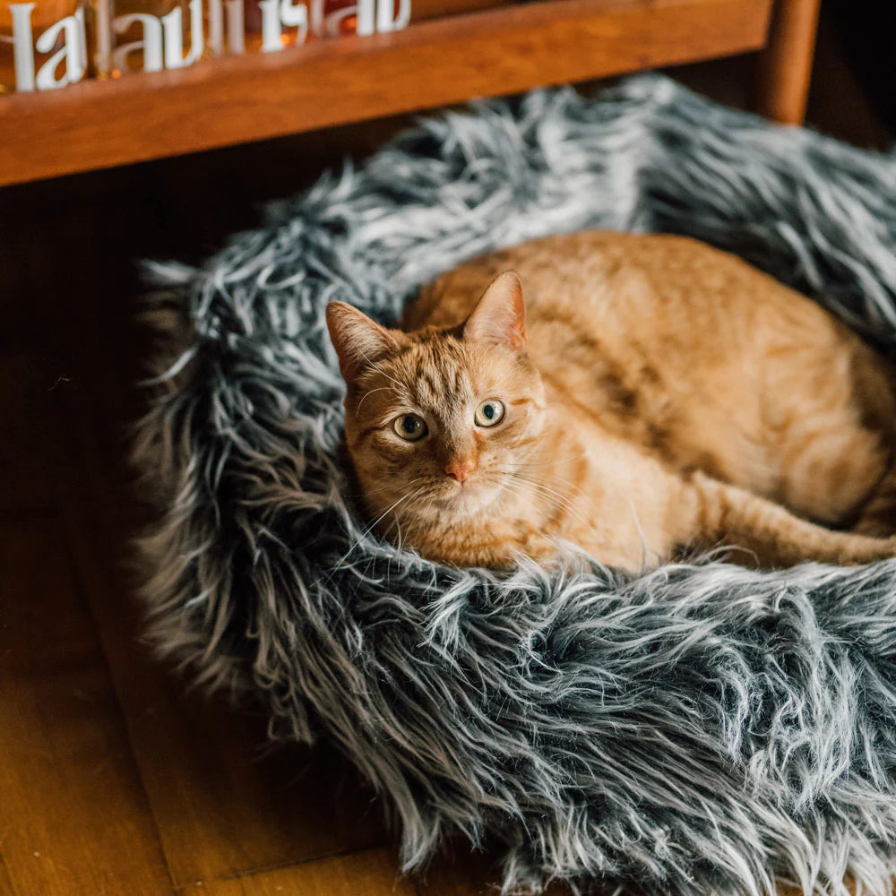 Floofy Cat Bed